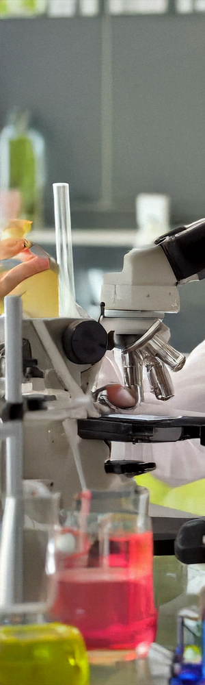 textura-nuevas-creaciones